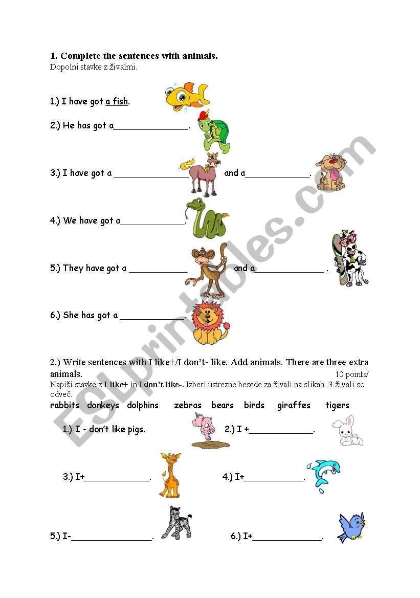 animals worksheet