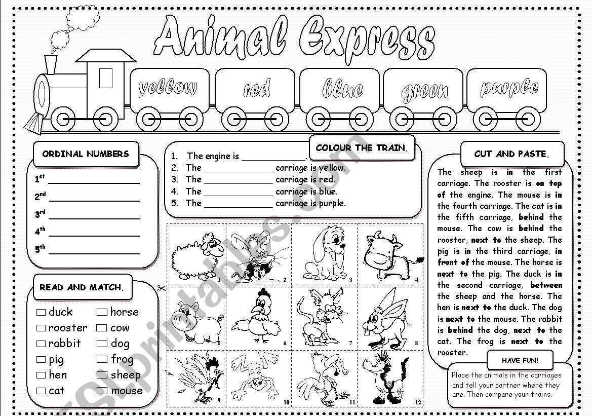 Animal Express worksheet
