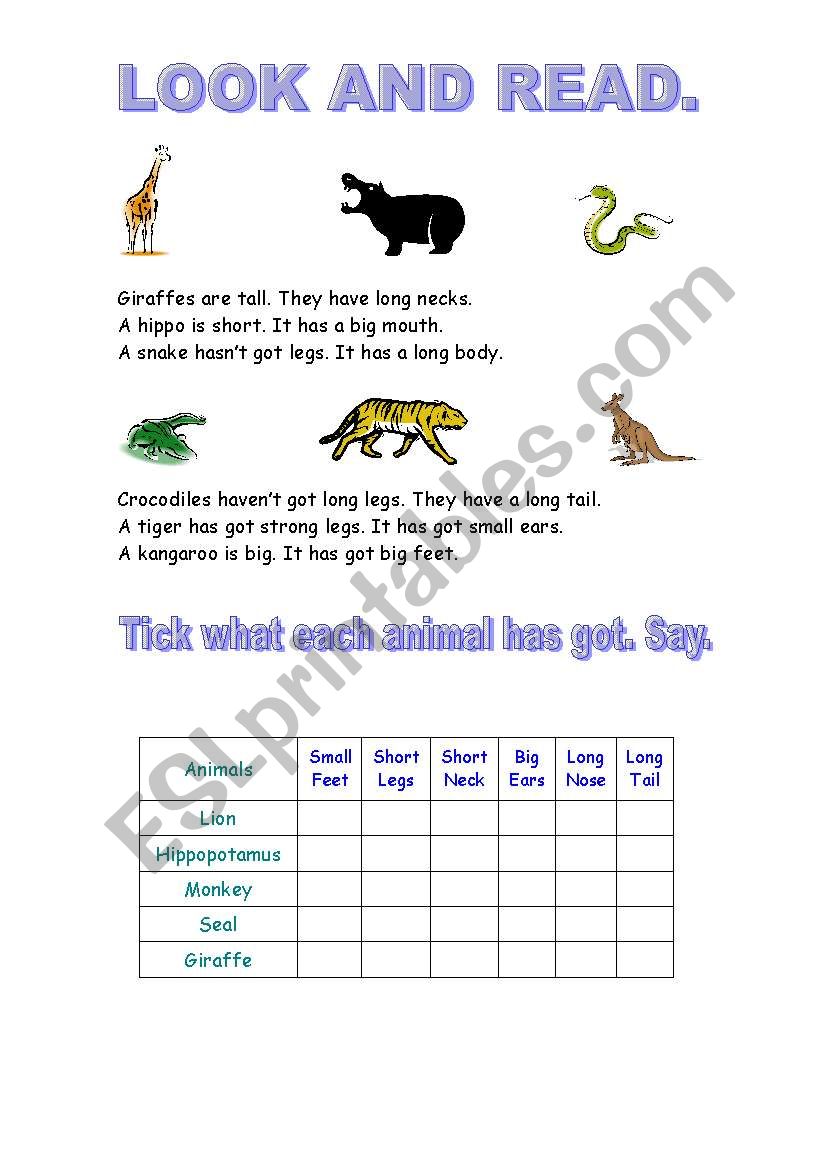 Read about animals worksheet
