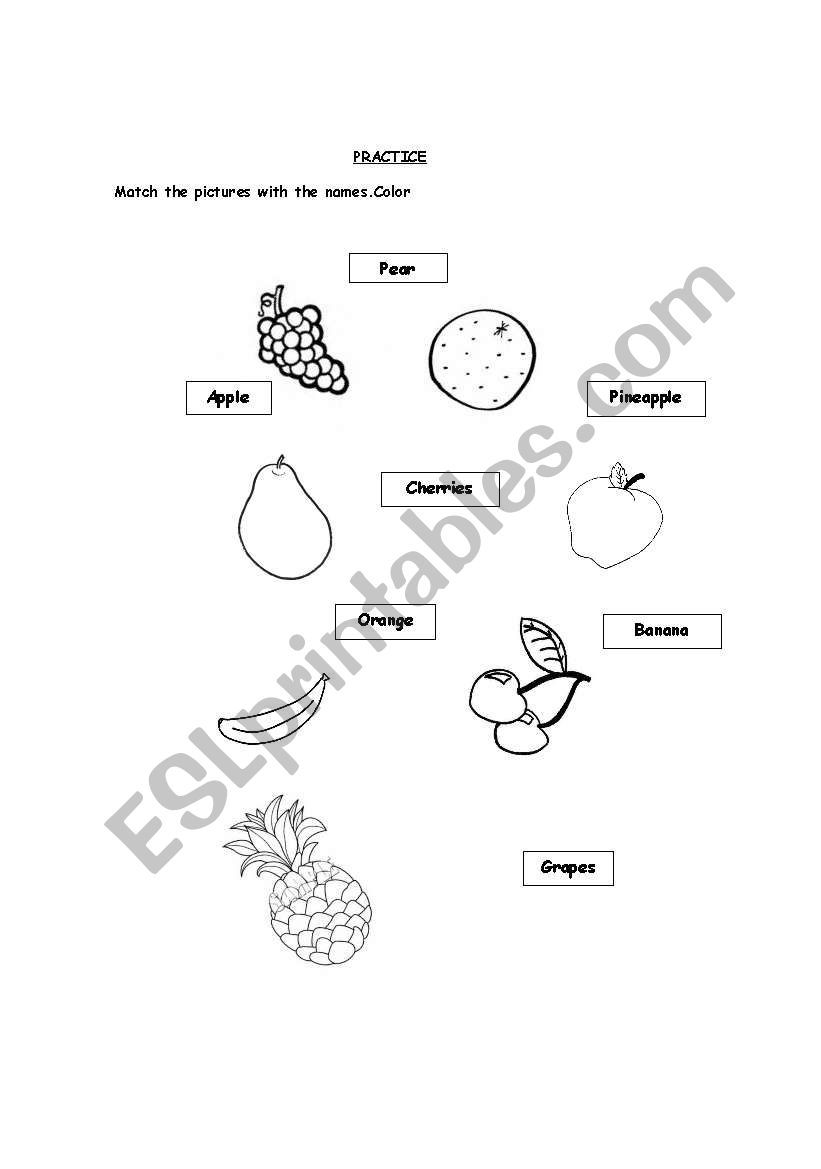 Food worksheet