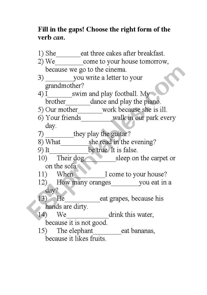 The verb can. worksheet