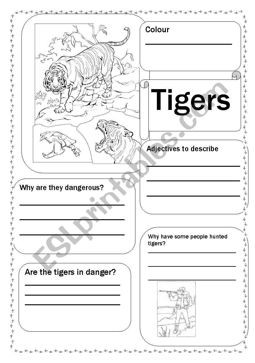 Tigers worksheet