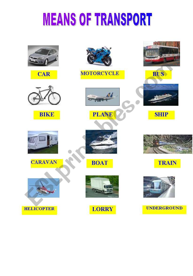 MEANS OF TRANSPORT worksheet