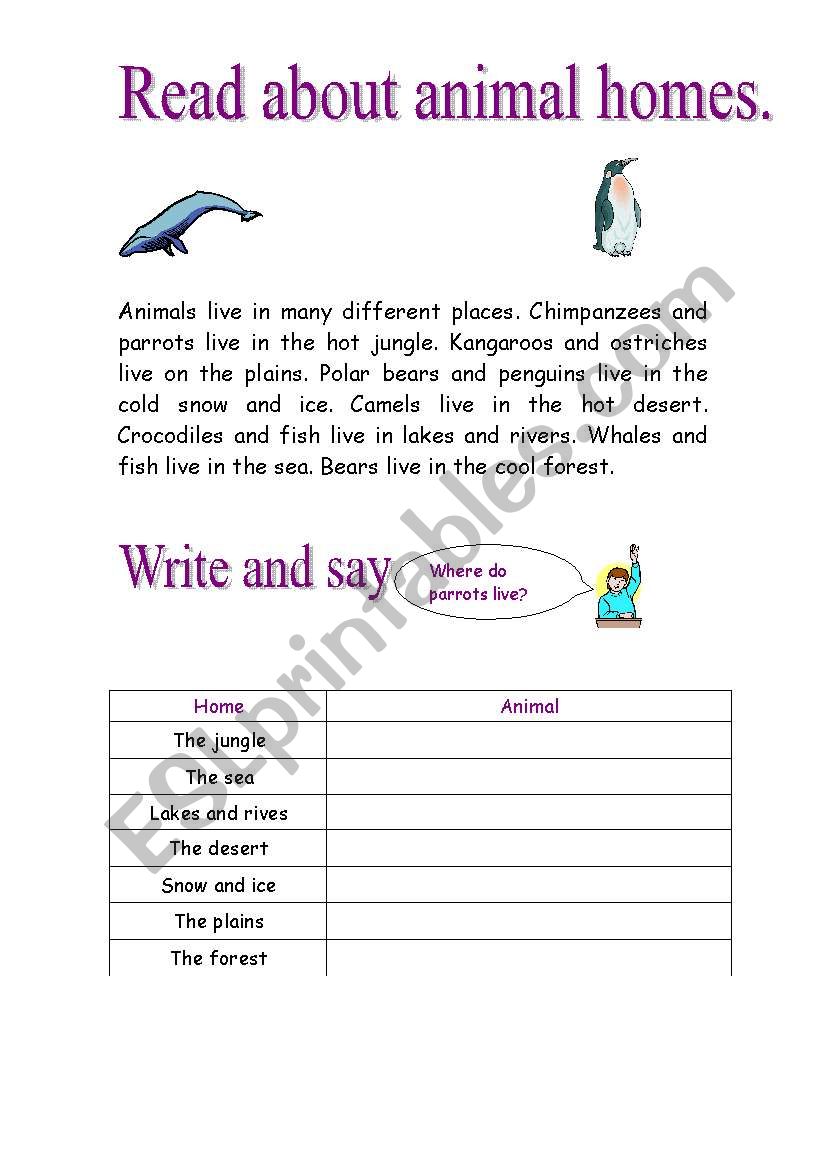 Animals and their homes worksheet