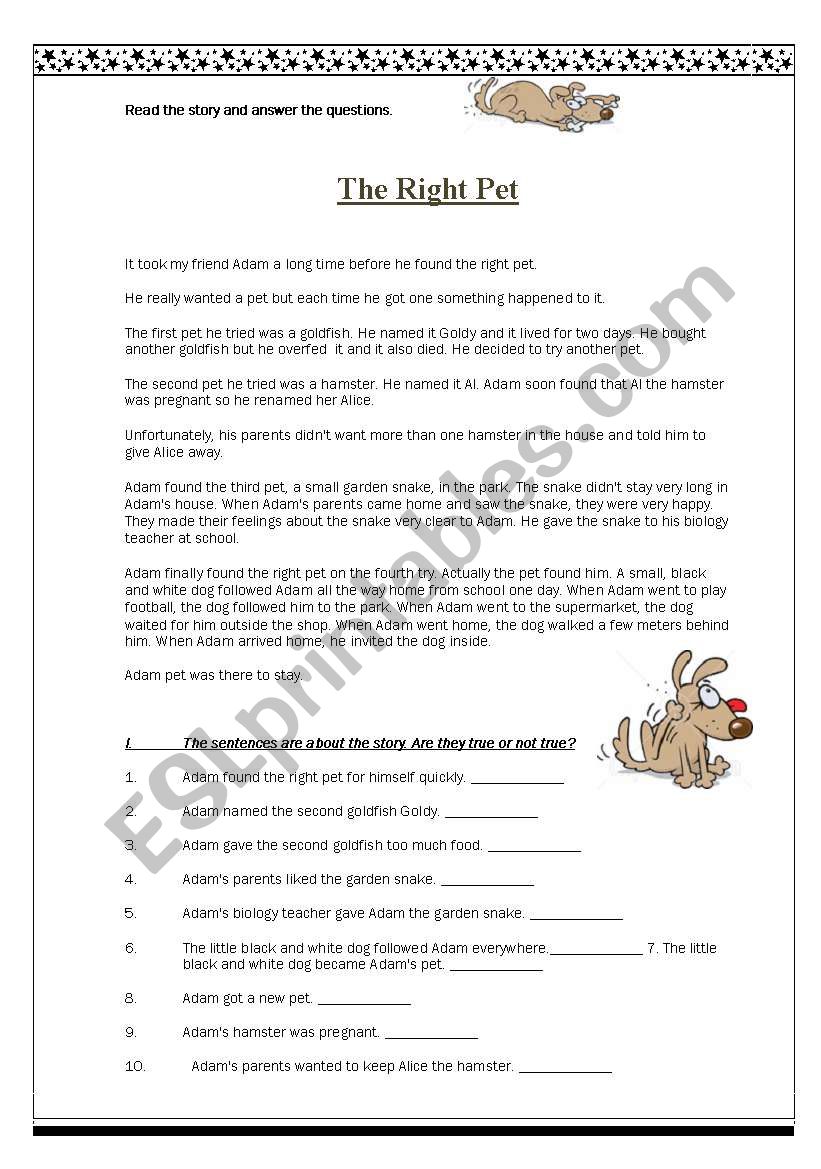 The Right Pet worksheet