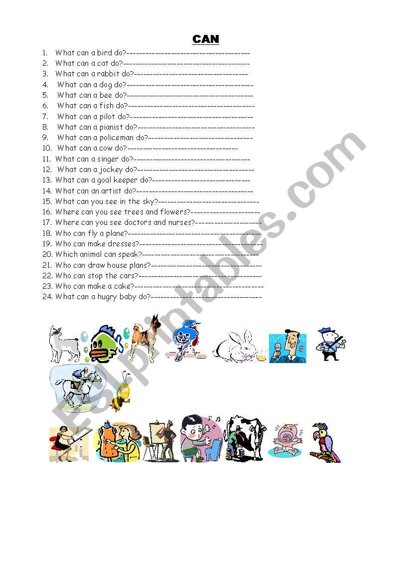can  worksheet
