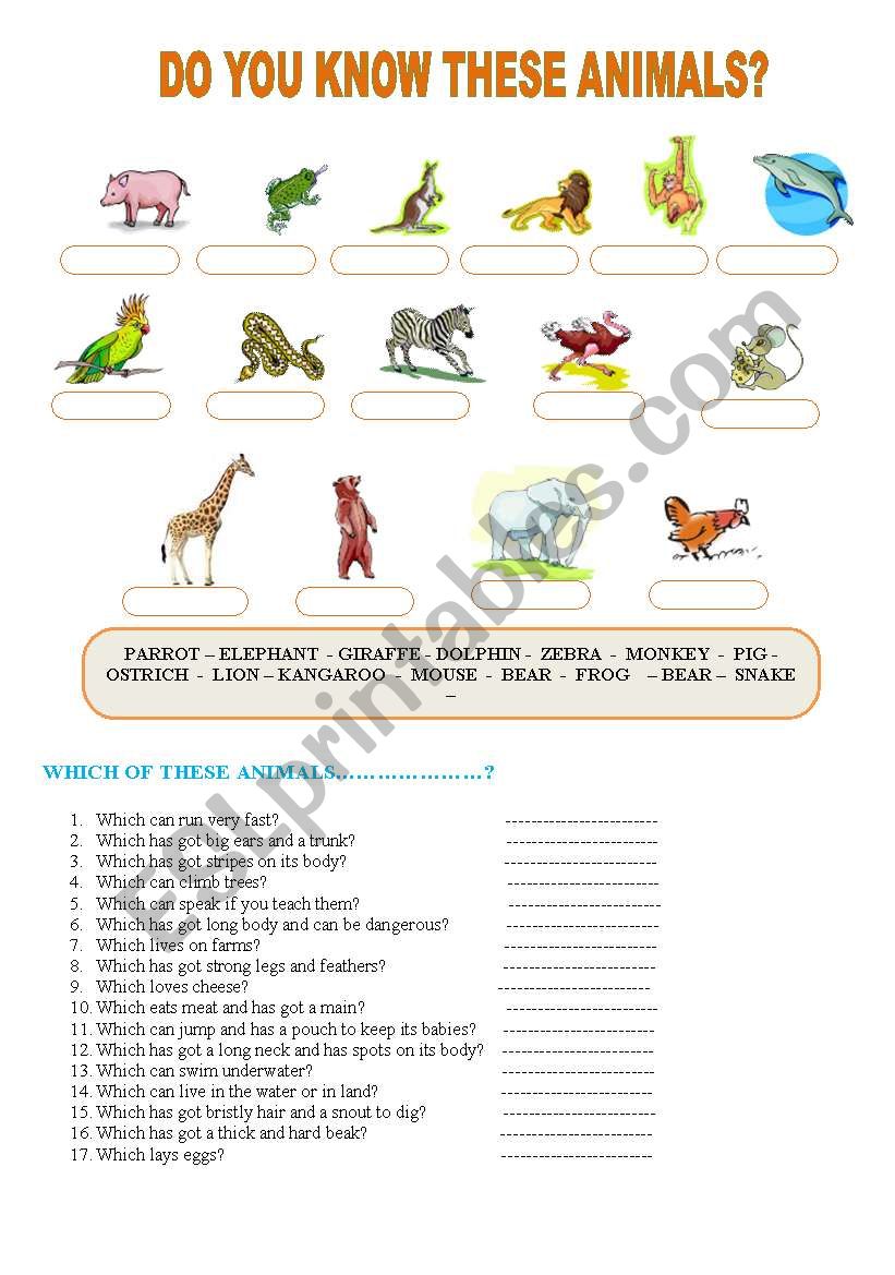 DO YOU KNOW THESE ANIMALS? worksheet