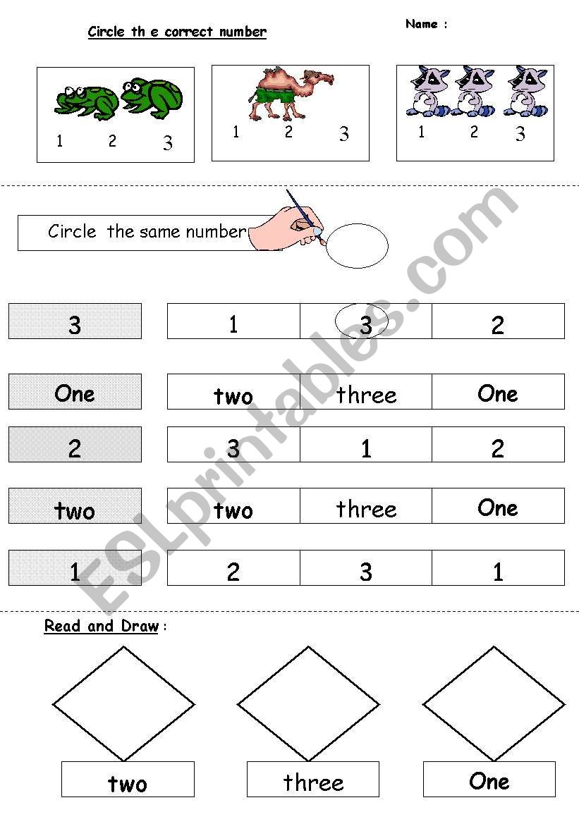 numbers worksheet