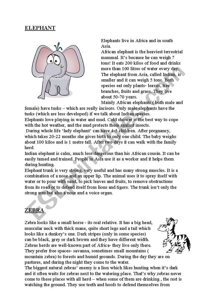 elephant, zebra, hippo  worksheet