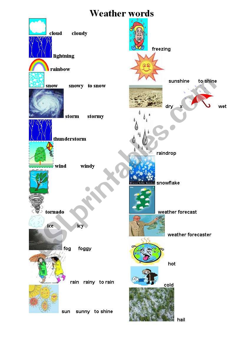 WEATHER WORDS worksheet