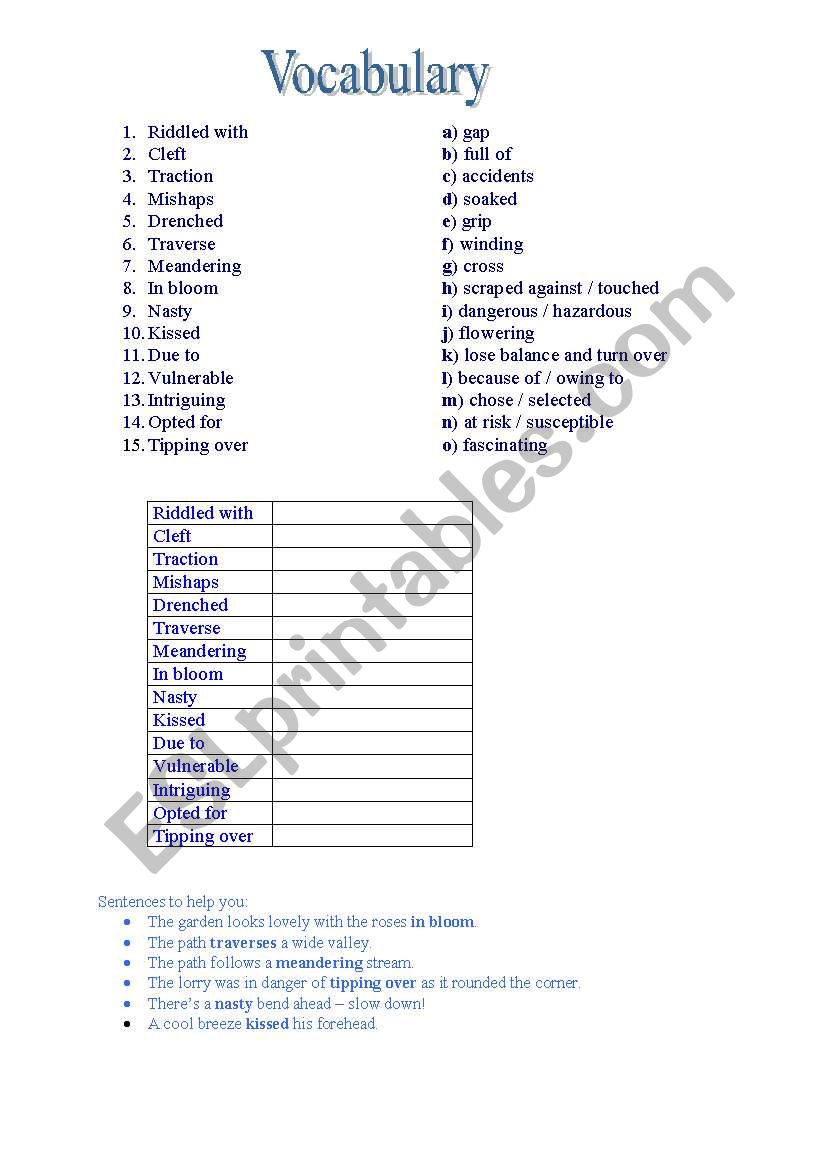 Vocabulary Travels Advanced worksheet