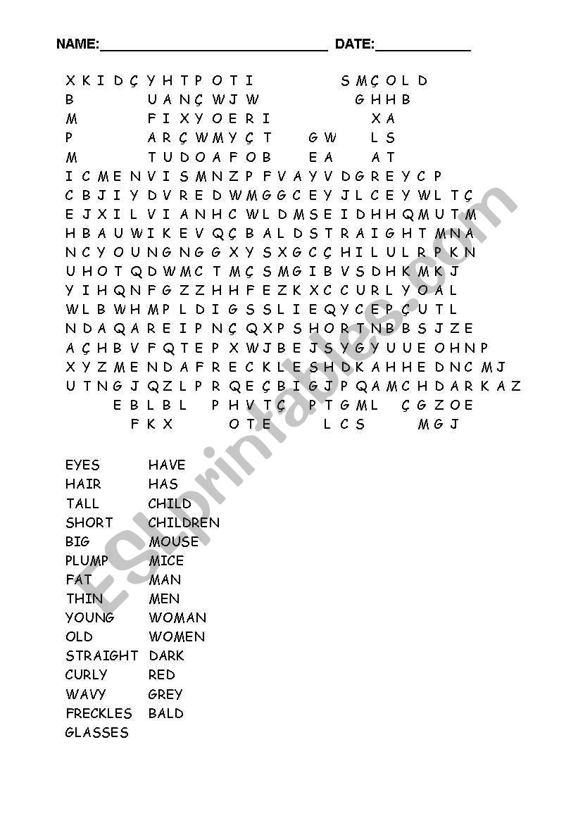 Train word search about   physical description 