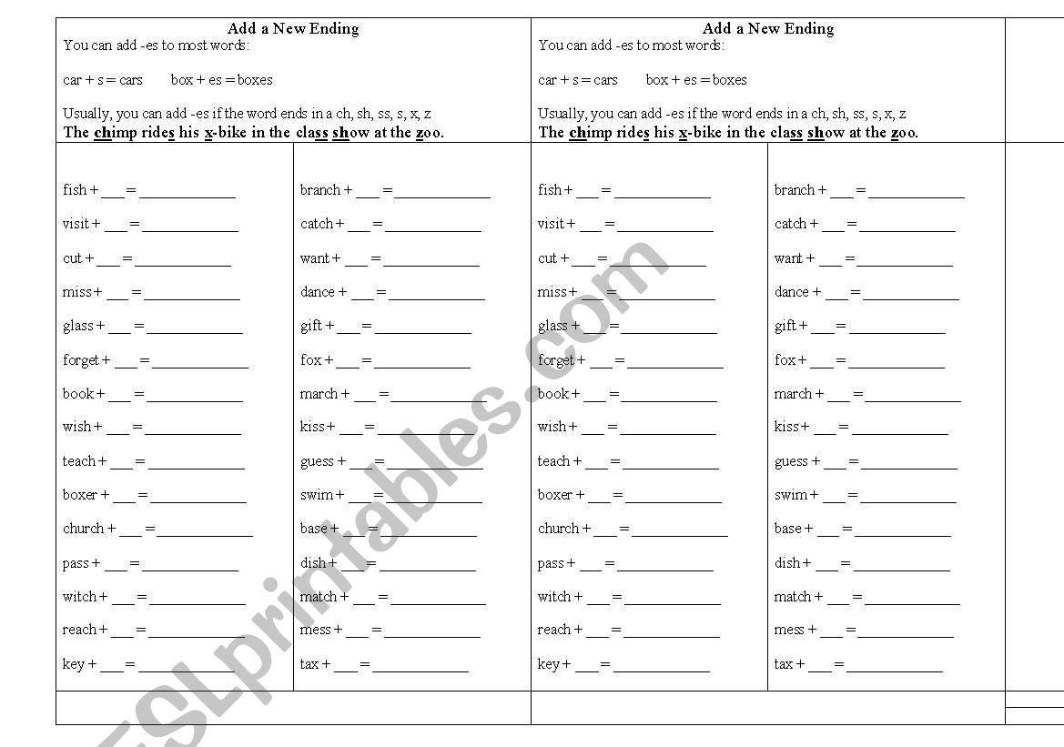 Plural (Adding -es or -s) worksheet