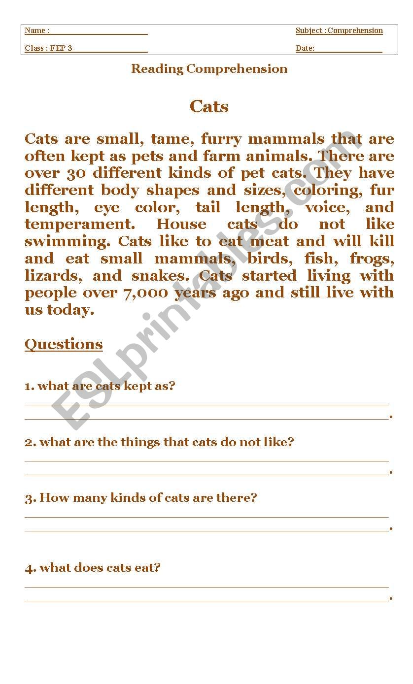 cats worksheet