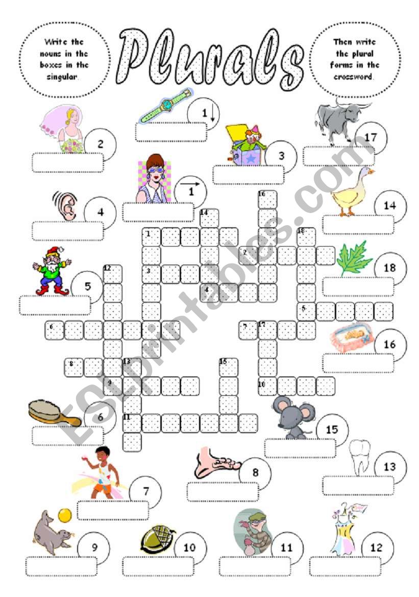 Plurals worksheet