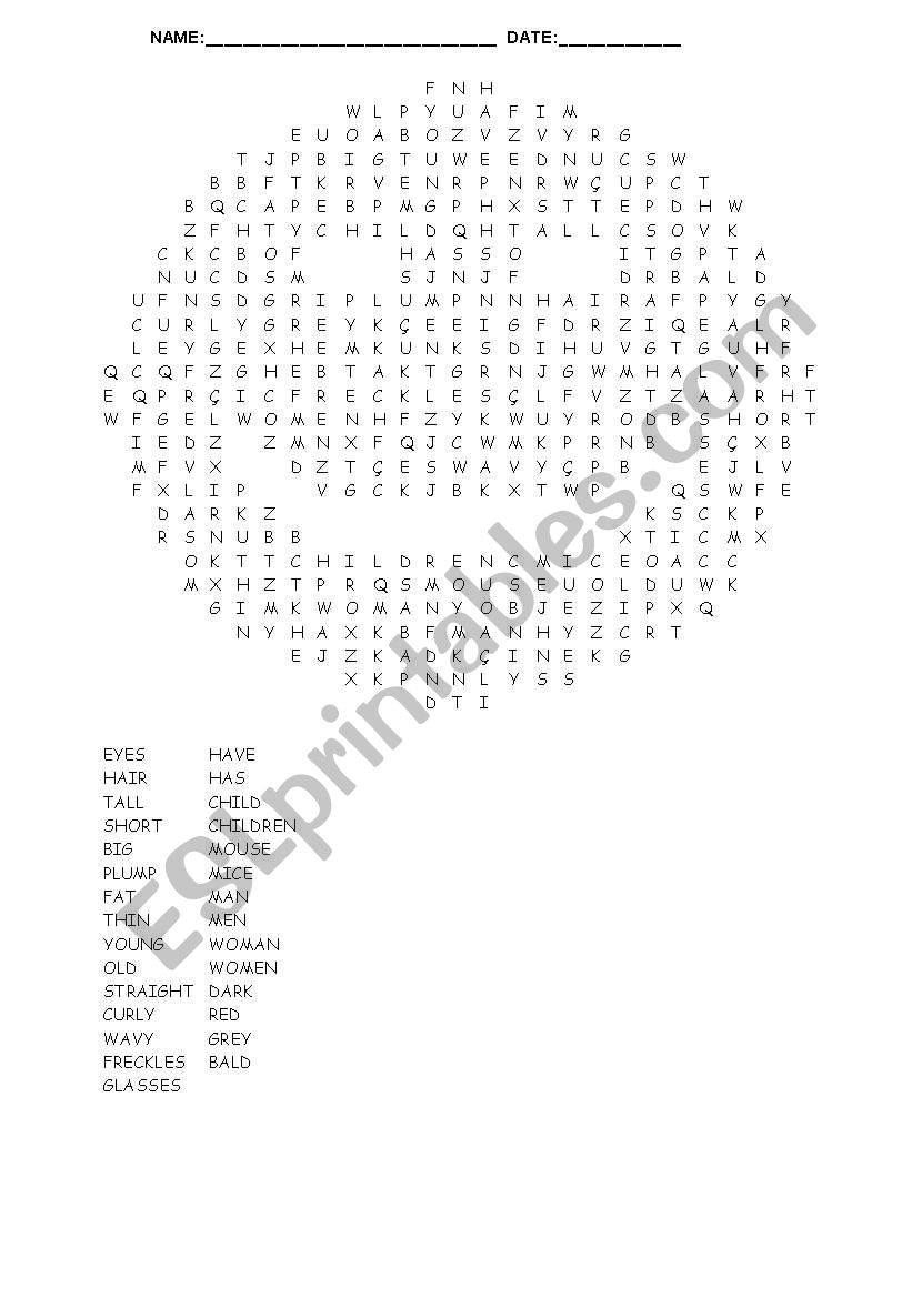 Smile word search  - Describing people