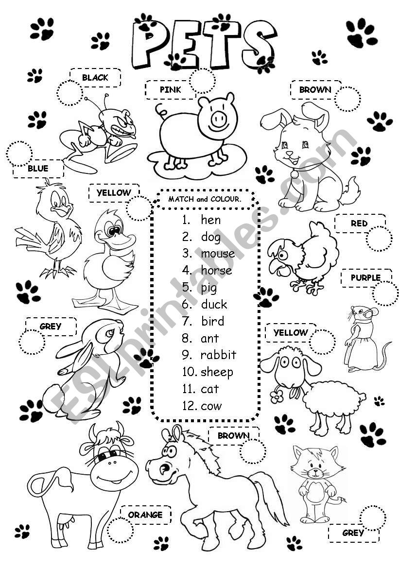 Pets worksheet