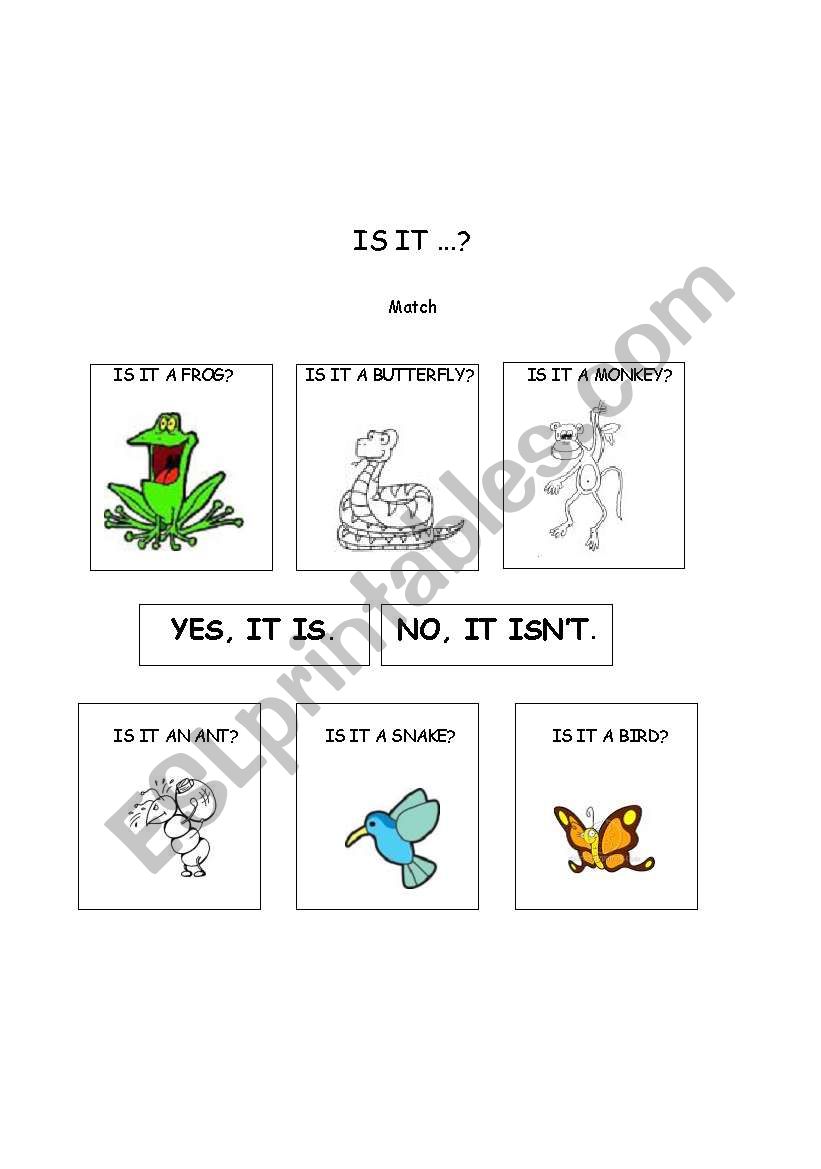 Verb to be + animals worksheet