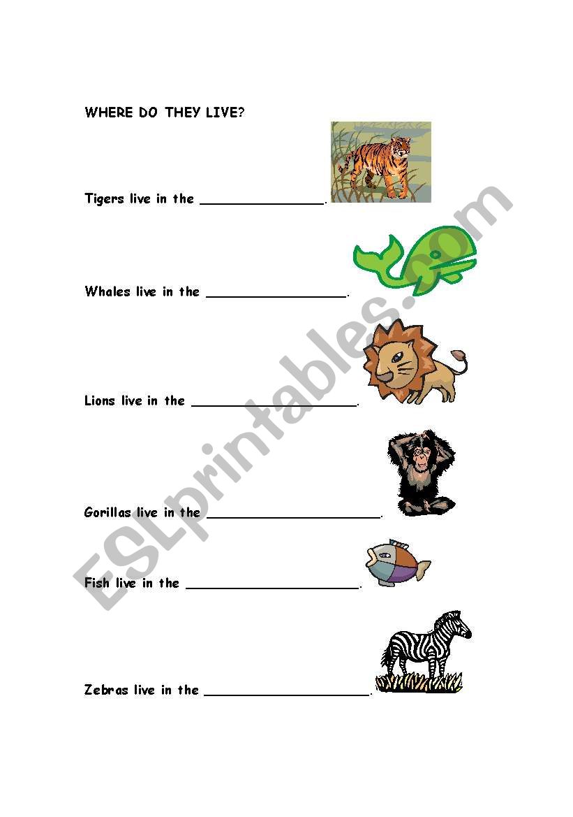 animals worksheet