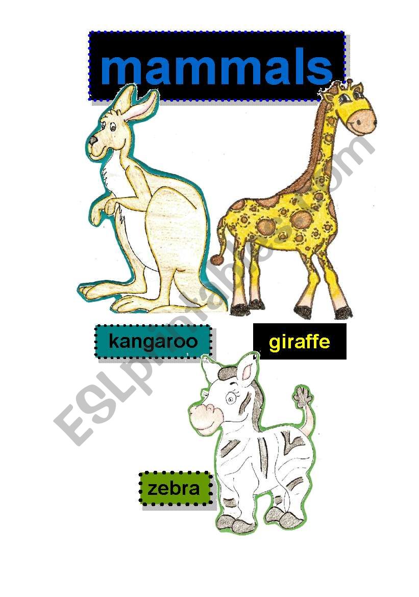 mammals #3 - flashcards - kangaroo-giraffe-zebra