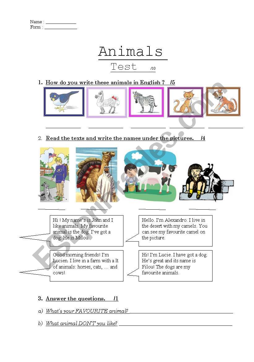 animals test worksheet