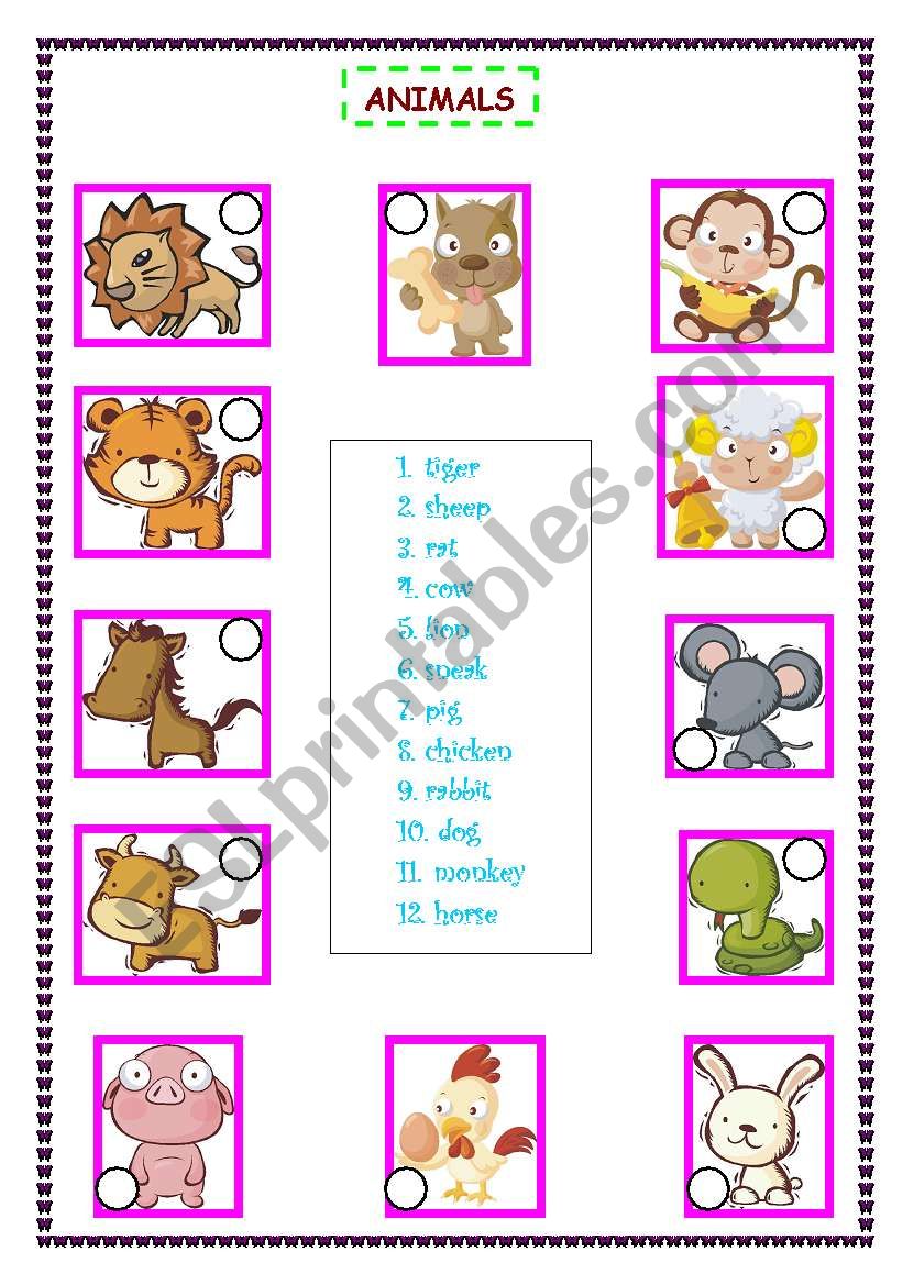 animals worksheet