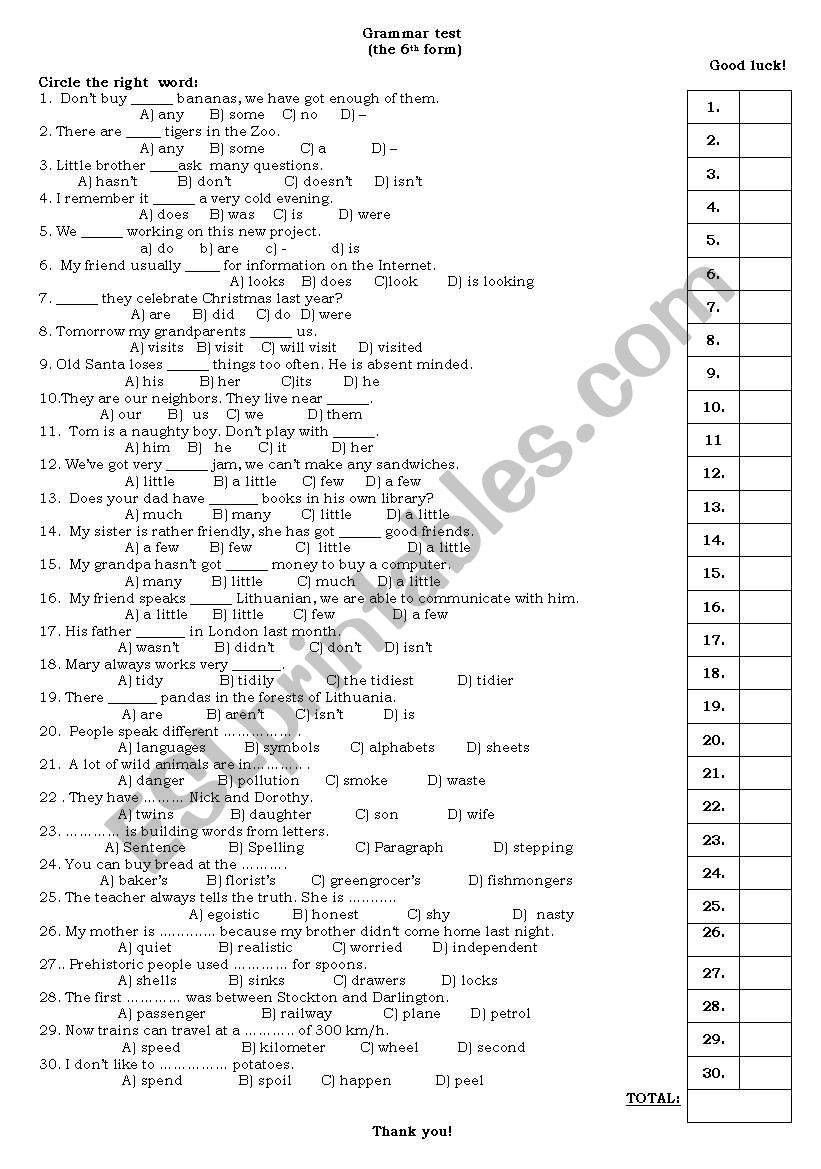 Grammar and Vocabulary Test worksheet