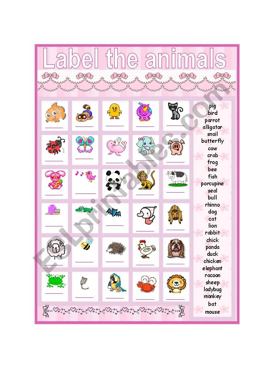 Label the animals worksheet