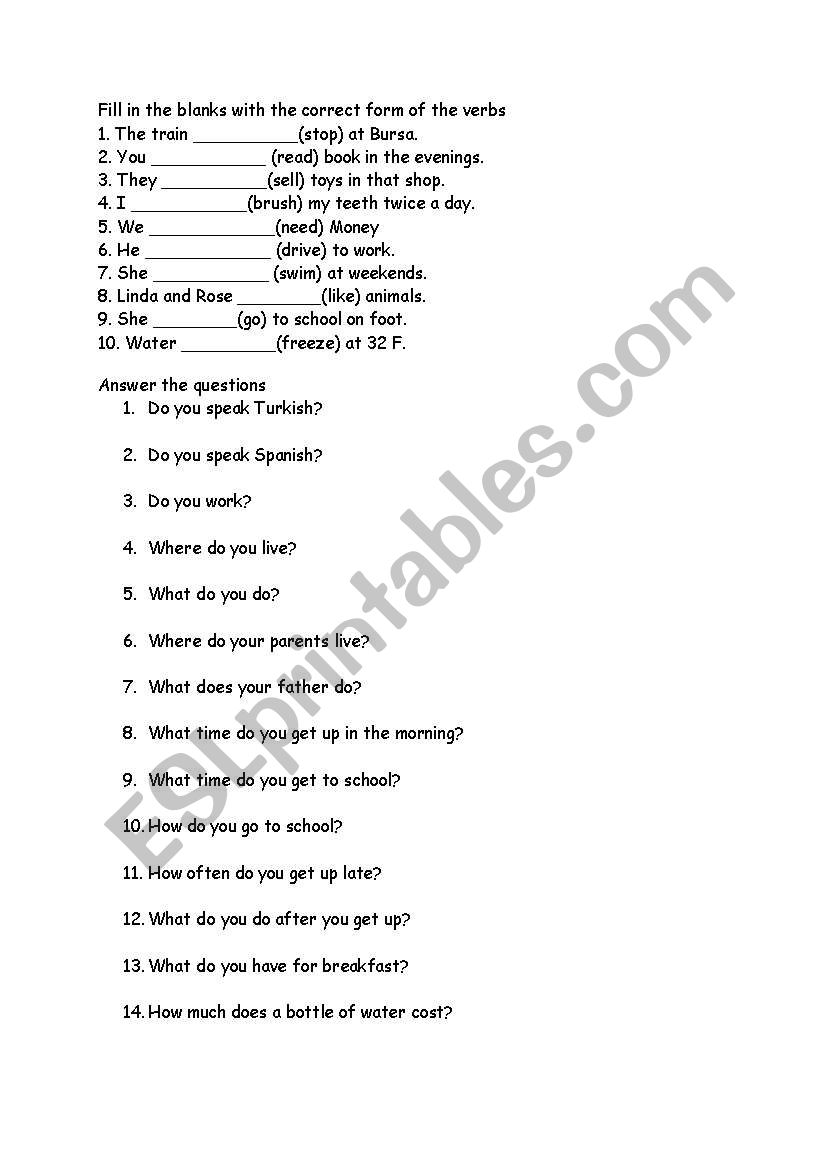 simple present worksheet