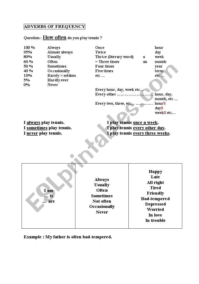 Adverbs of Frequency worksheet