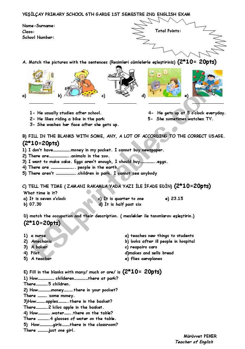 exam questions for 6th grade worksheet