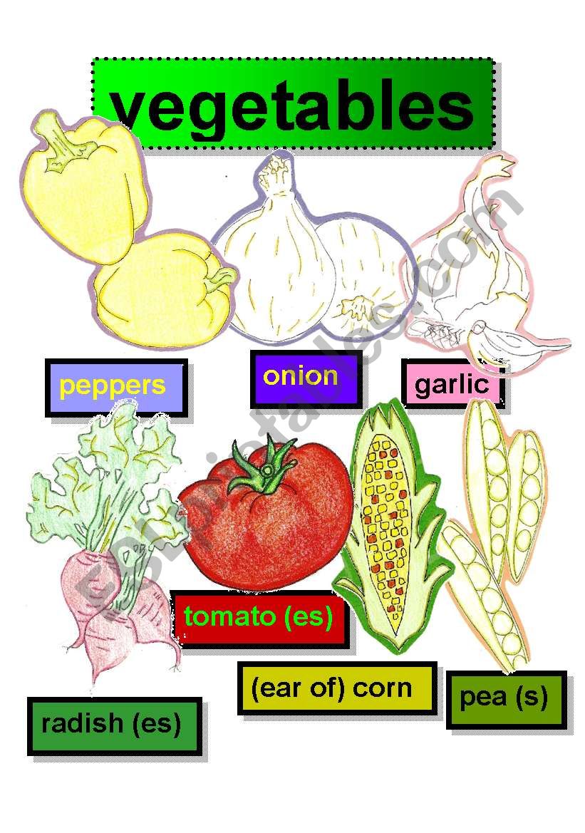 VEGETABLES - FLASHCARDS #1- peppers-onion-garlic-radish (es)- tomato (es)-(ear of) corn-pea (s)