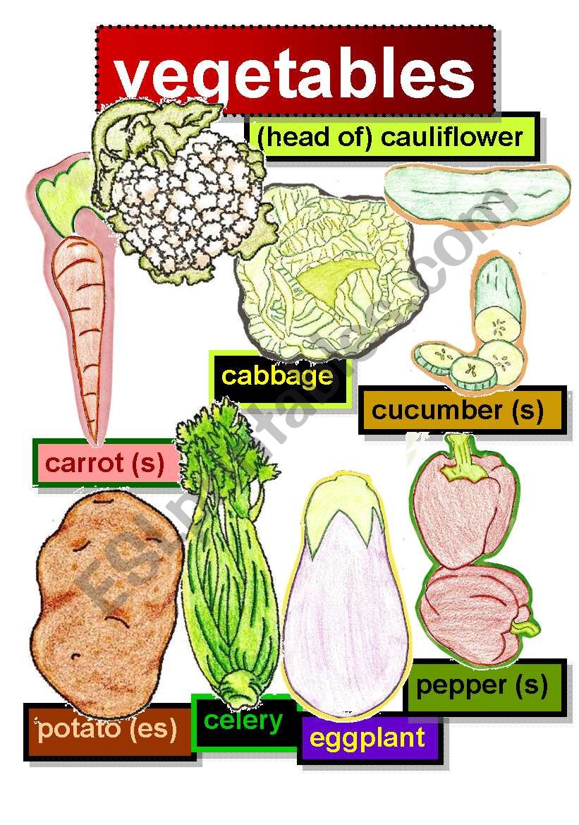 VEGETABLES - FLASHCARDS #2- carrot (s)-(head of) cauliflower-cabbage-cucumber (s)-potato (es)-celery-eggplant-pepper (s)