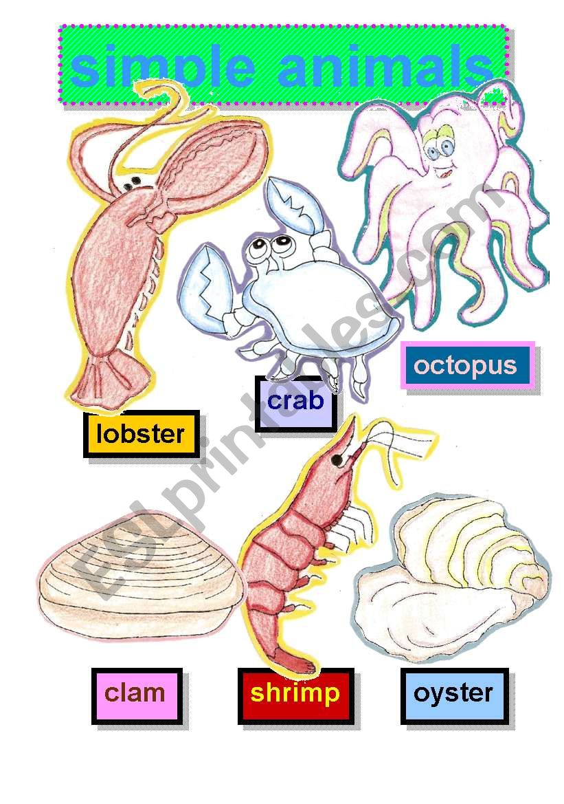 SIMPLE ANIMALS - SEAFOOD-FLASCHARDS #1- lobster-crab-octopus-clam-shrimp-oyster