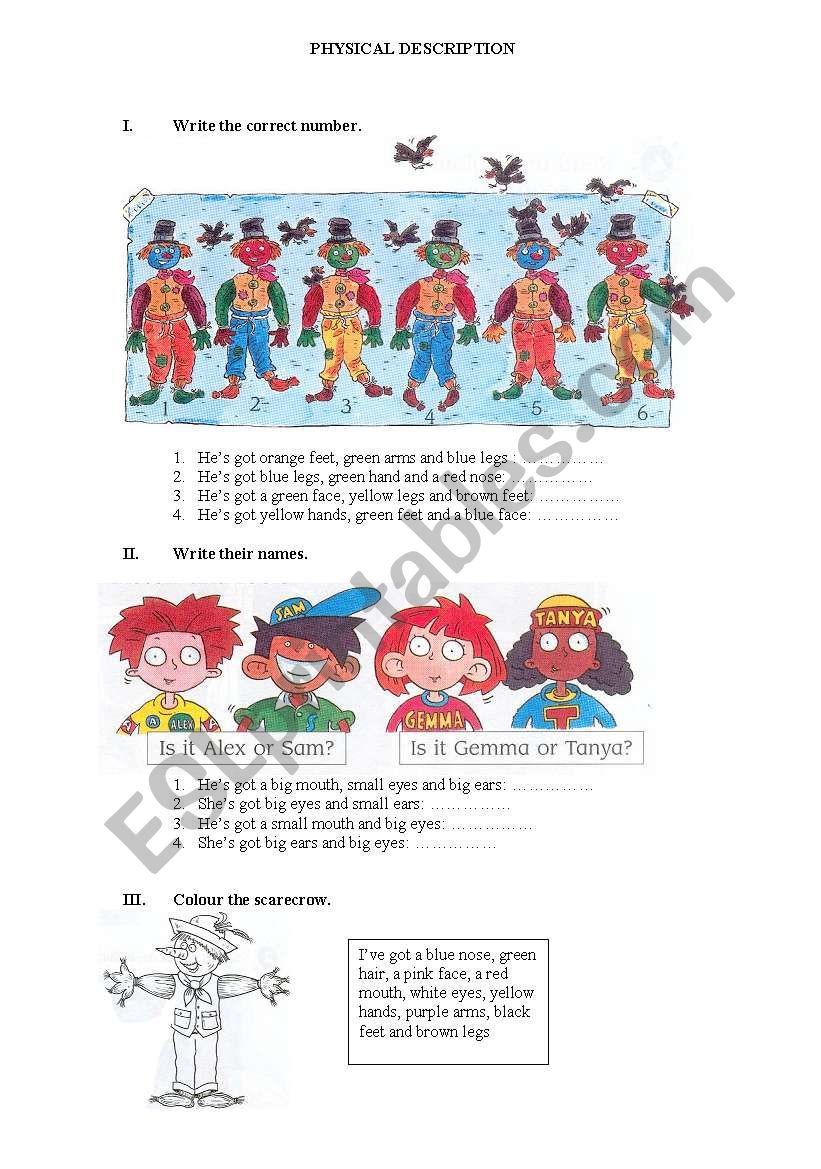 physical description worksheet