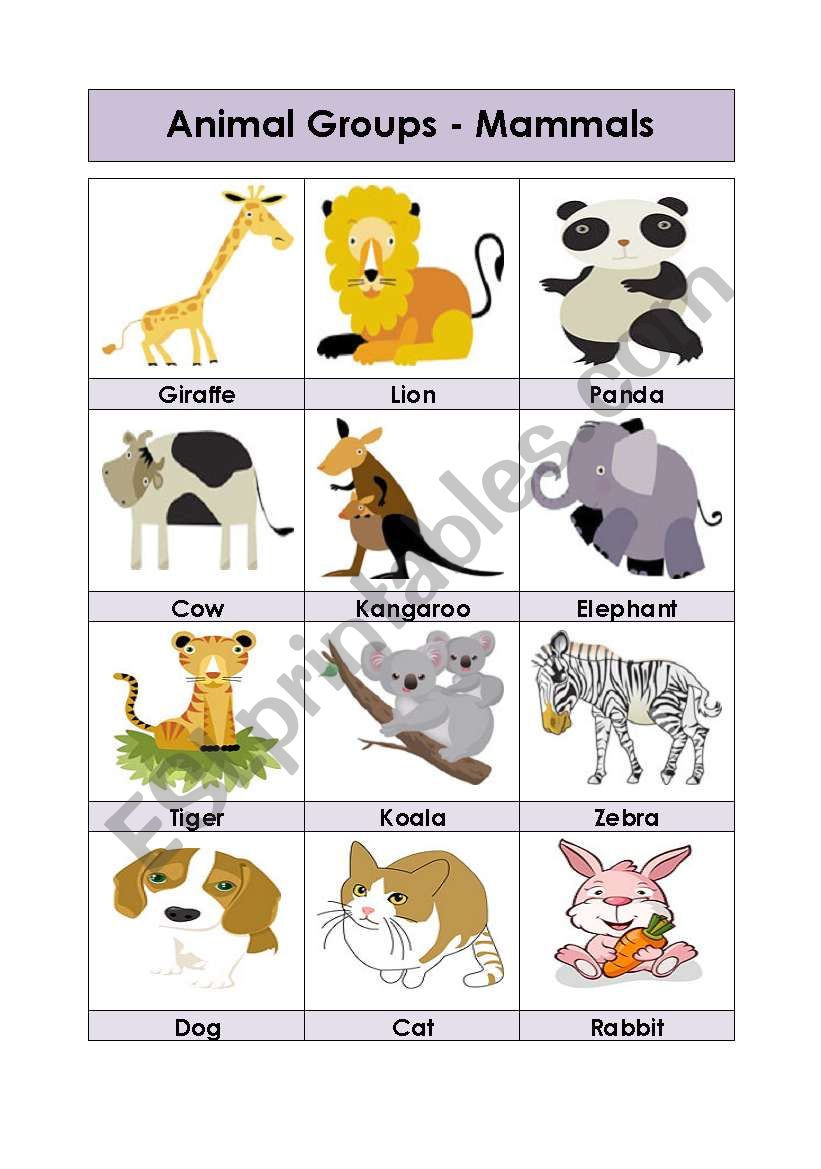 Animal Groups-Mammals (1-5) worksheet