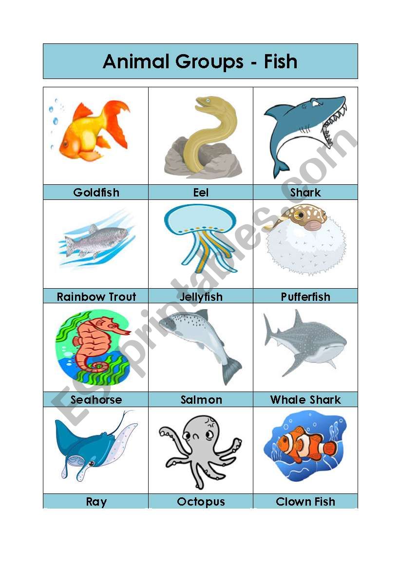 Animal Groups-Fish (3/5) worksheet