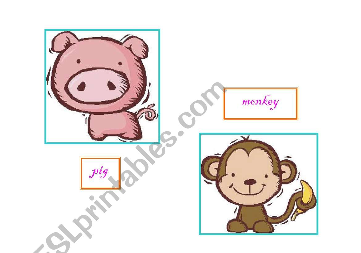 animals pictures worksheet