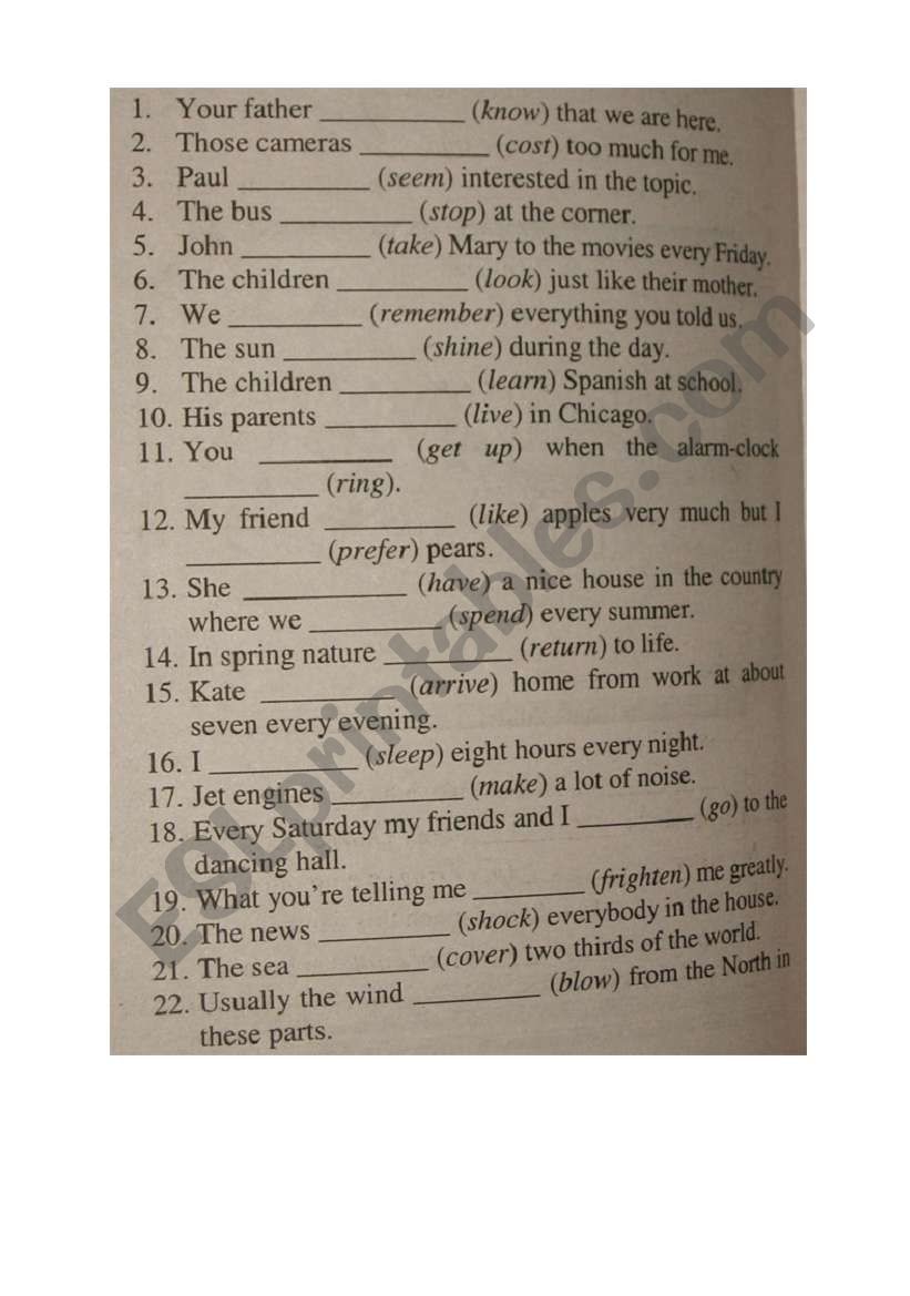 present simple worksheet