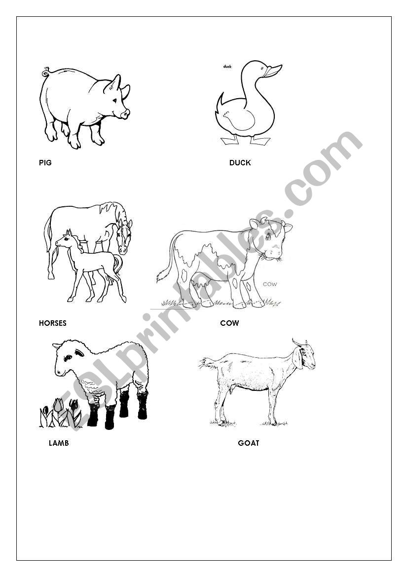 Coloring faarm animals worksheet