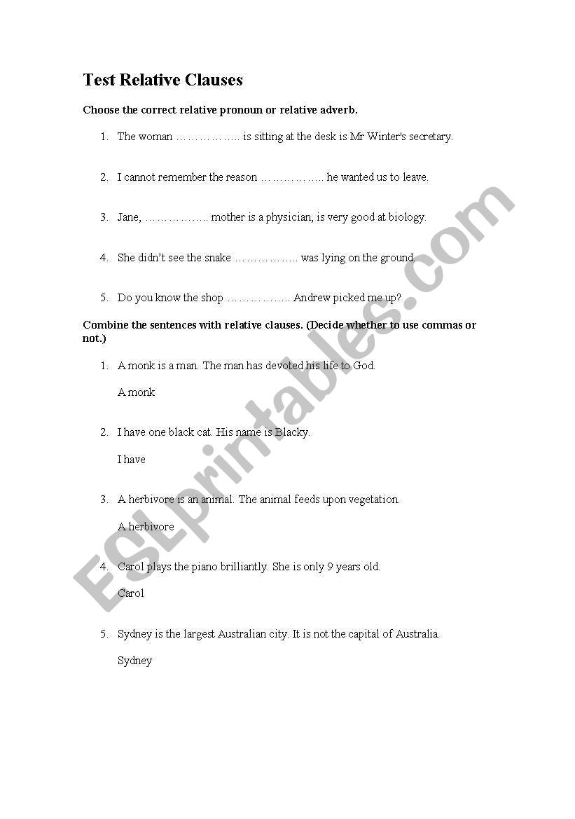 Relative Clauses Test worksheet