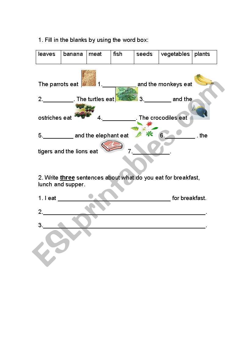 teach how to write sentence worksheet