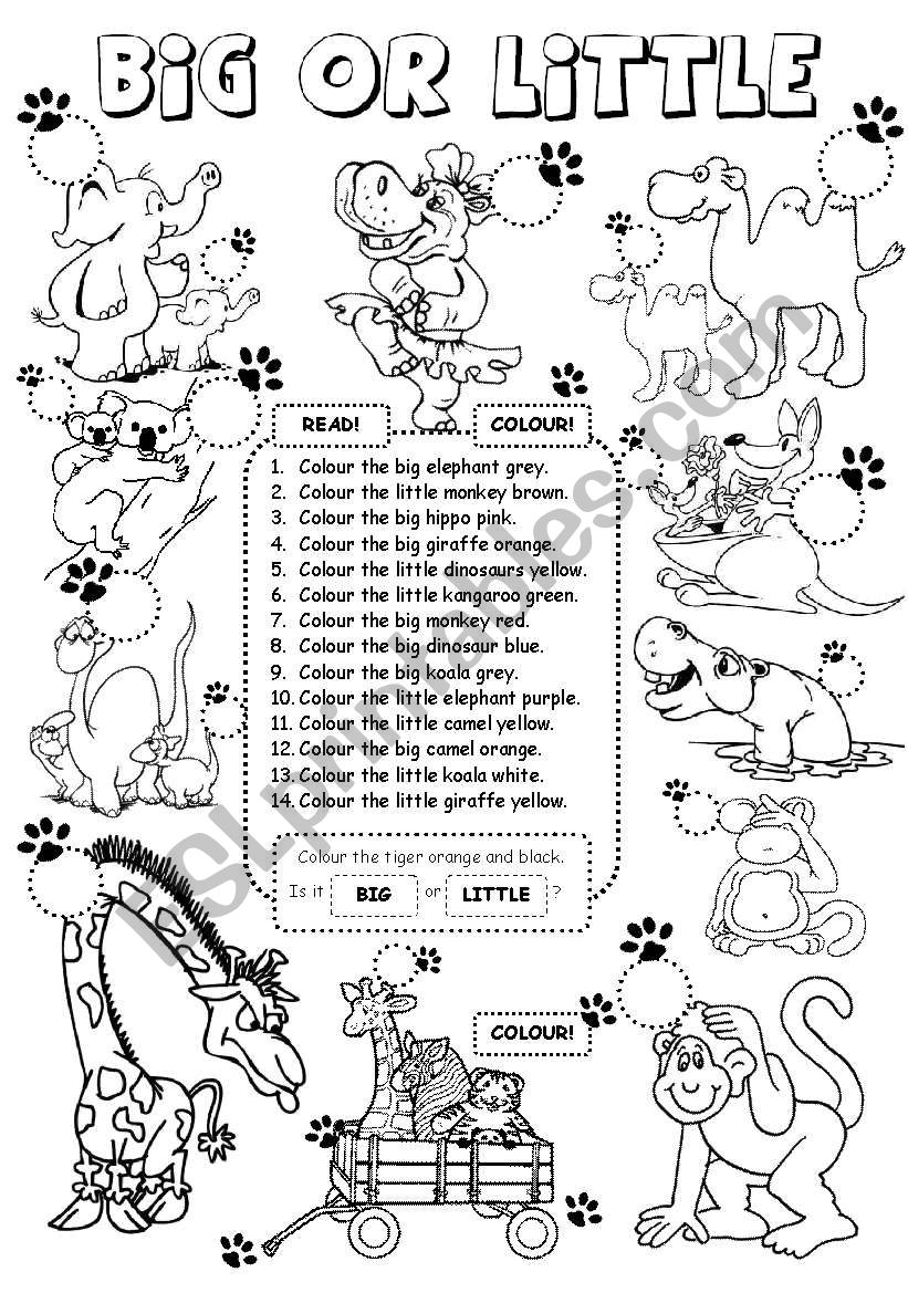 Big or Little worksheet