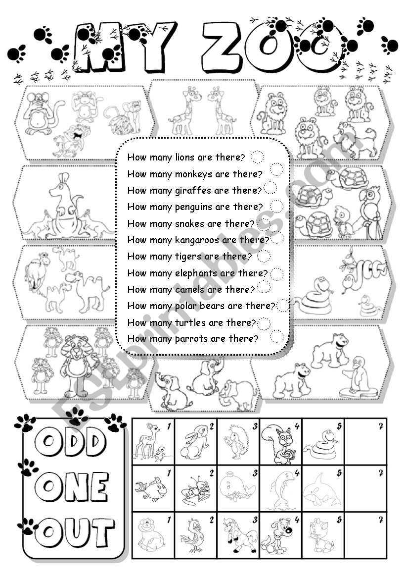 My Zoo worksheet
