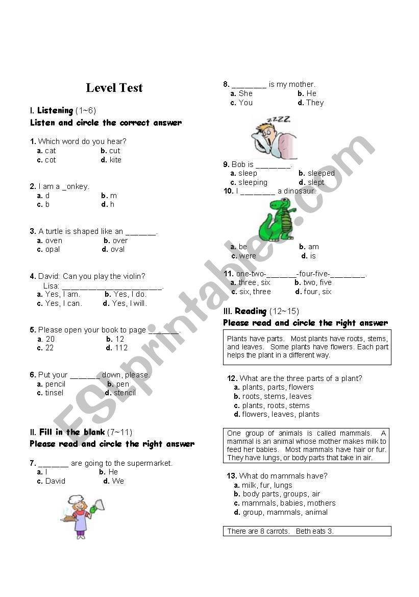 Level test for elementary students
