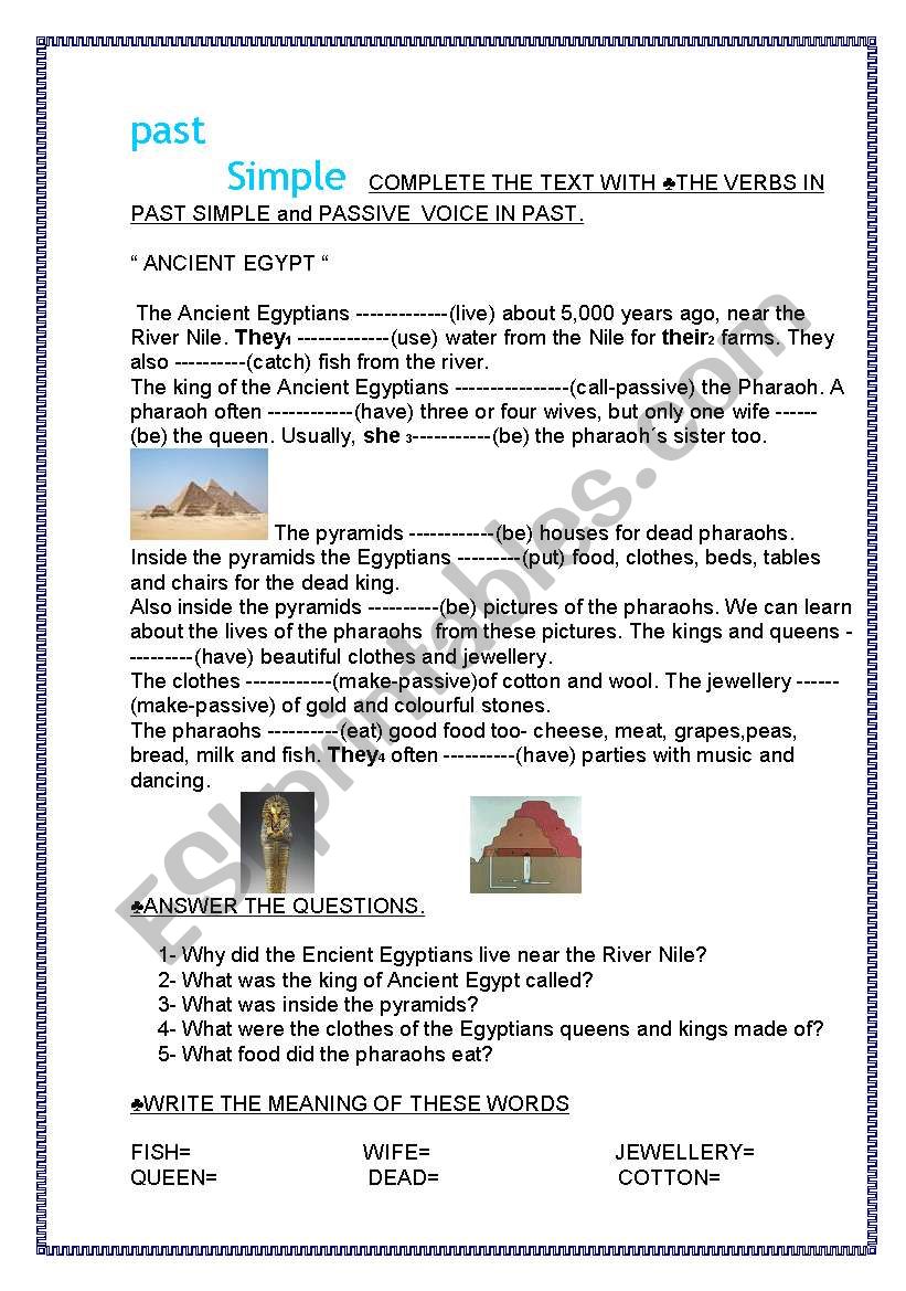 PAST SIMPLE AND PAST PASSIVE worksheet