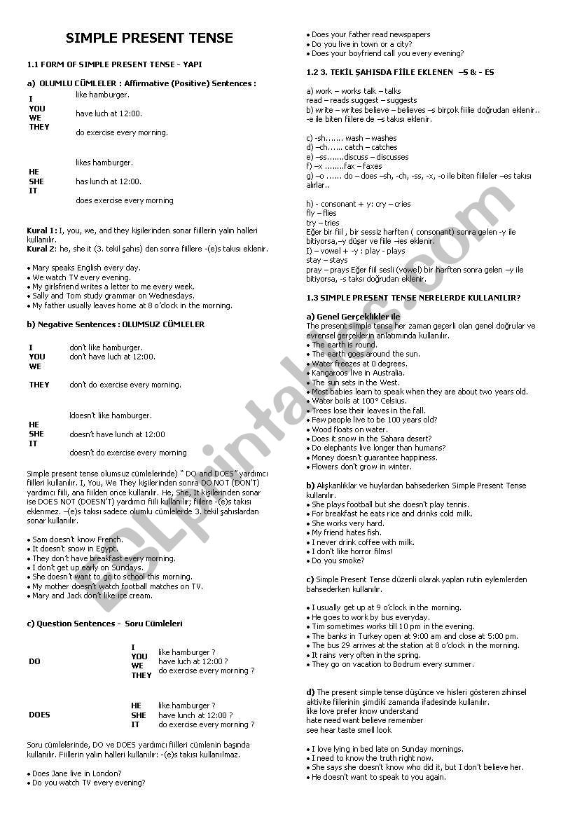 present simple tense worksheet