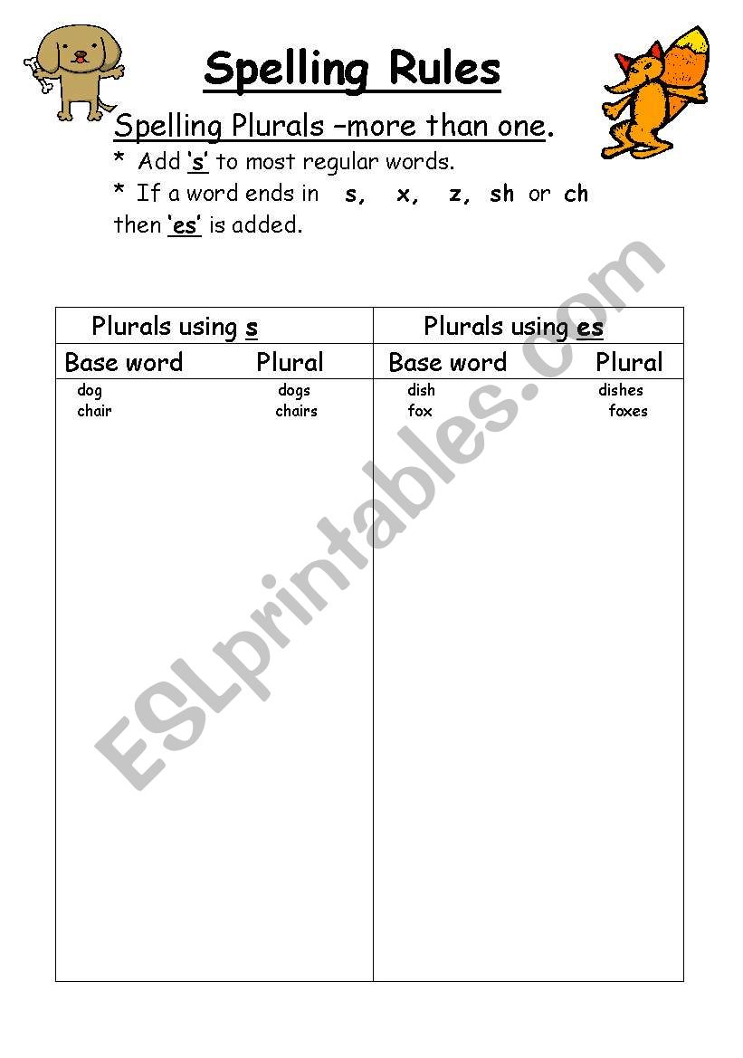 Spelling rules for s or es endings