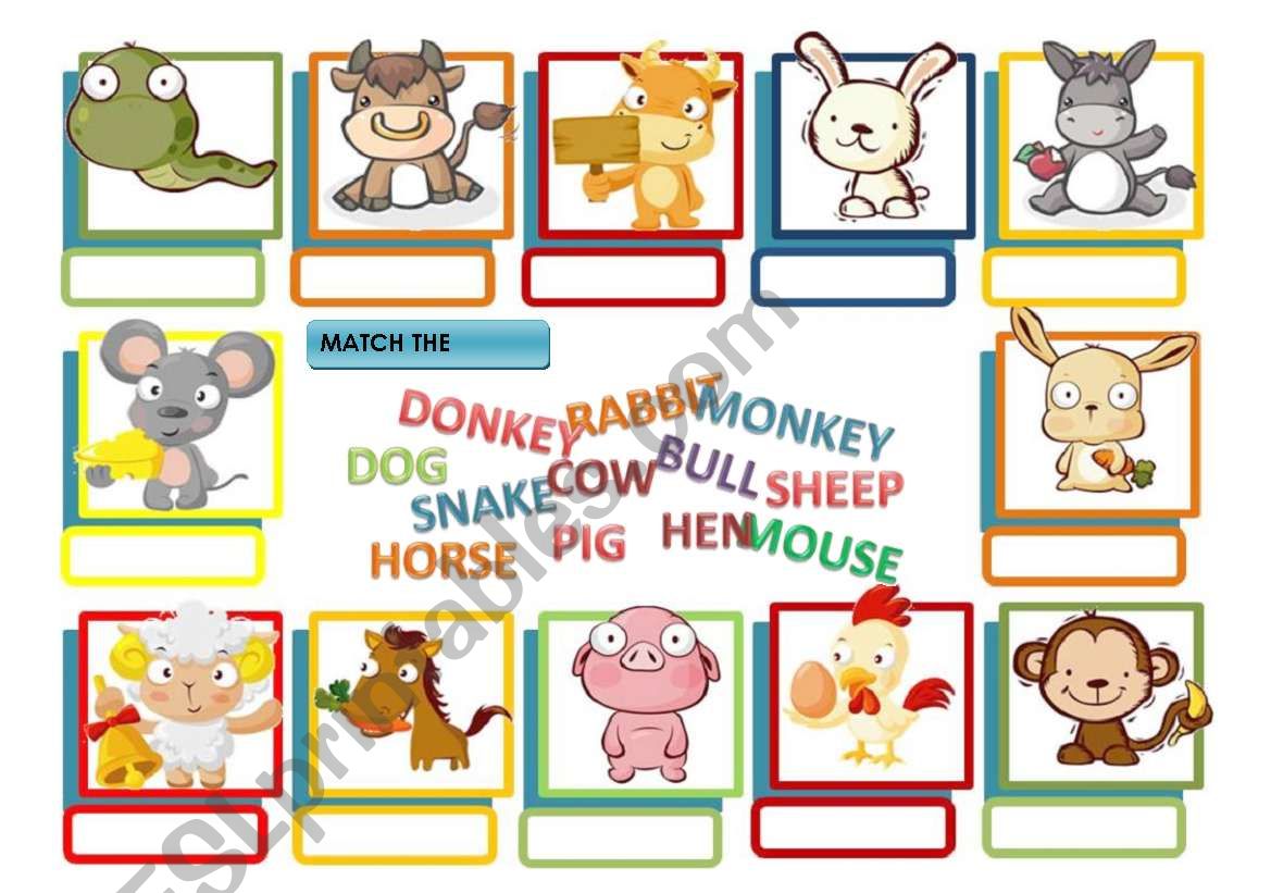 ANIMALS VOCABULARY worksheet