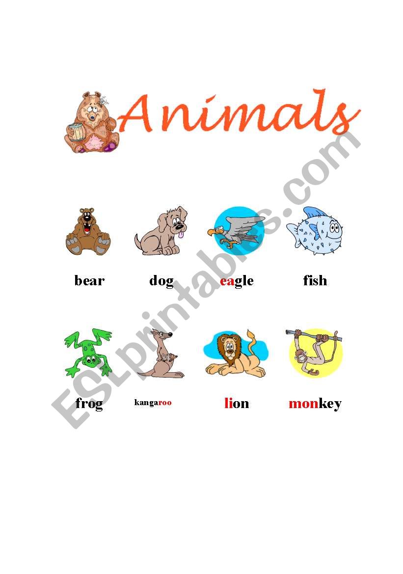 Animals worksheet